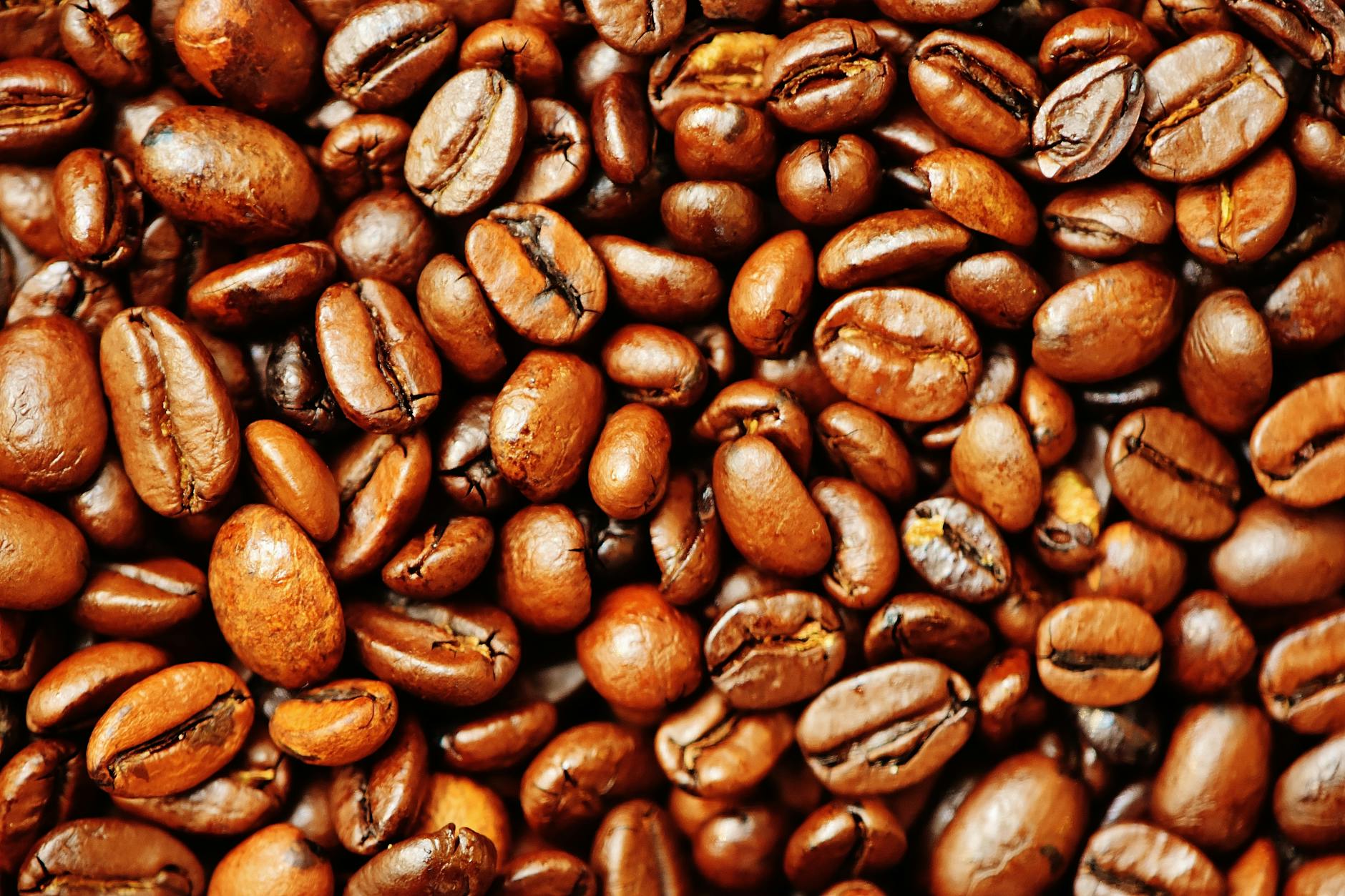 Beyond the Bean: Coffee’s Role in Global Communities